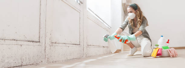 Why You Should Choose Our Mold Remediation Services in Doffing, TX